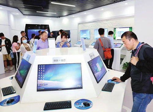 種好梧桐樹，引得鳳凰來 以軟件開發(fā)與信息技術(shù)咨詢服務(wù)為核心，打造總部經(jīng)濟(jì)新高地